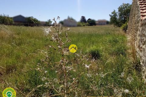 Terra a Bègues, Allier, Bègues - € 34.000 | Ref: 116CAL111015 - foto 2