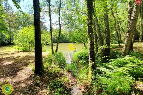 Villa a Oizon, Cher, Oizon - € 157.000 | Ref: 55CAL102216 - foto 5