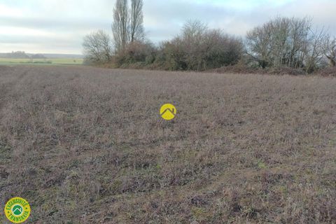 Terra a Vatan, Indre, Vatan - € 43.000 | Ref: 91CAL100892 - foto 2