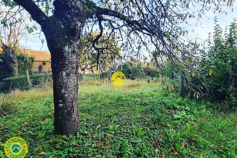 Villa i Azy, Cher, Azy - € 72.500 | Ref: 36CAL100149 - foto 4