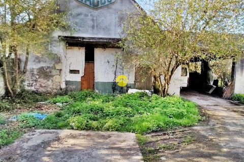 Villa a Blet, Cher, Blet - € 68.000 | Ref: 42MS99785 - foto 3