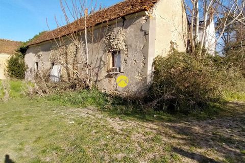 Villa a Blet, Cher, Blet - € 68.000 | Ref: 42MS99785 - foto 10