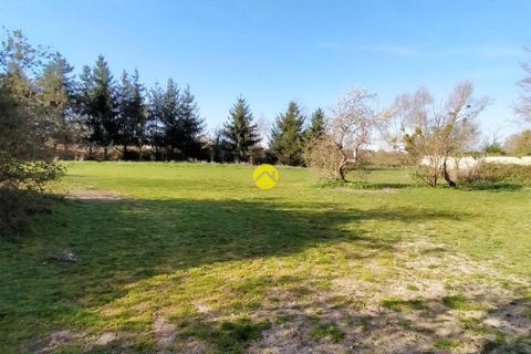 Villa a Blet, Cher, Blet - € 68.000 | Ref: 42MS99785 - foto 13