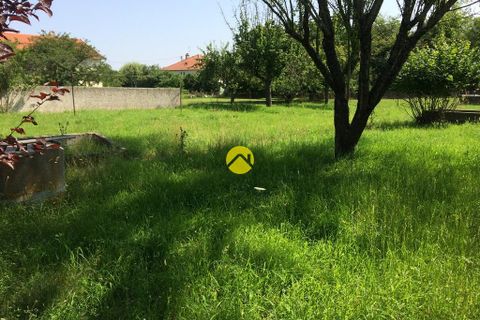Terra a Gannat, Allier, Gannat - € 54.000 | Ref: 116MS99169 - foto 2