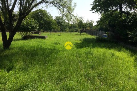 Terra a Gannat, Allier, Gannat - € 54.000 | Ref: 116MS99169 - foto 3