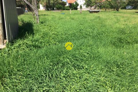Terra a Gannat, Allier, Gannat - € 54.000 | Ref: 116MS99169 - foto 6