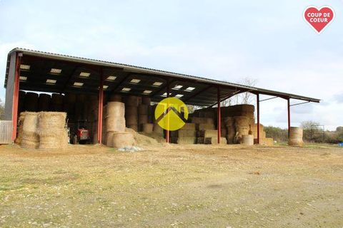 Landejendom i Jars, Cher, Jars - € 520.000 | Ref: 54MS97516 - foto 8