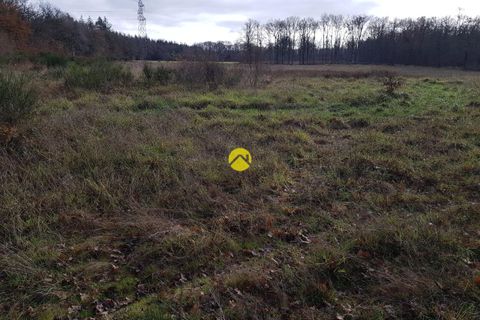 Terra a Vouzeron, Cher, Vouzeron - € 23.000 | Ref: 43MS96240 - foto 2