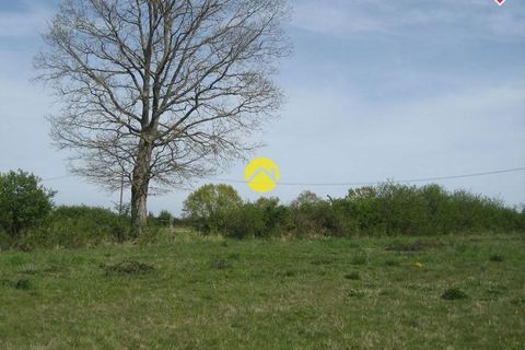 Terra a Franchesse, Allier, Franchesse - € 15.000 | Ref: 97MS110759 - foto 4
