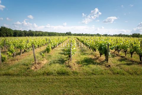 Villa a Saumur, Maine-et-Loire, Saumur - € 3.400.000 | Ref: NDB1006 - foto 4