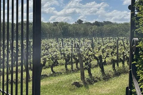 Villa a Saumur, Maine-et-Loire, Saumur - € 3.400.000 | Ref: NDB1006 - foto 27