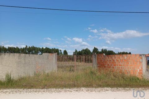Terra a Benavente, Santarem, Benavente - € 100.000 | Ref: 144182 - foto 2
