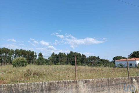 Terra a Benavente, Santarem, Benavente - € 100.000 | Ref: 144182 - foto 3