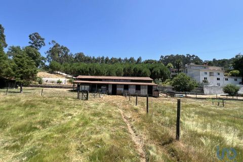Byhus i Tondela, Viseu, Tondela - € 840.000 | Ref: 91130 - foto 12
