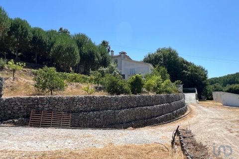 Byhus i Tondela, Viseu, Tondela - € 840.000 | Ref: 91130 - foto 14