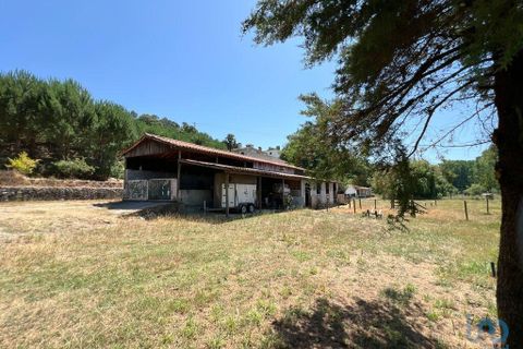 Byhus i Tondela, Viseu, Tondela - € 840.000 | Ref: 91130 - foto 15