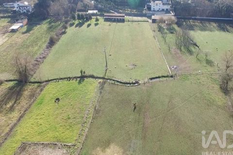 Byhus i Tondela, Viseu, Tondela - € 840.000 | Ref: 91130 - foto 28