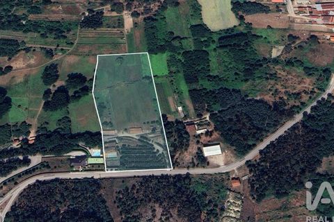 Byhus i Tondela, Viseu, Tondela - € 840.000 | Ref: 91130 - foto 30