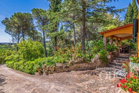 Villa i Rosignano Marittimo, Livorno, Rosignano Marittimo - € 750.000 | Ref: 18985 - foto 34