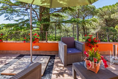 Villa i Rosignano Marittimo, Livorno, Rosignano Marittimo - € 750.000 | Ref: 18985 - foto 41