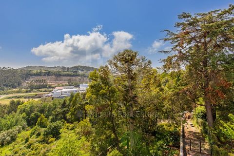 Villa a Lousa, Coimbra, Lousa - € 2.450.000 | Ref: V25179 - foto 40