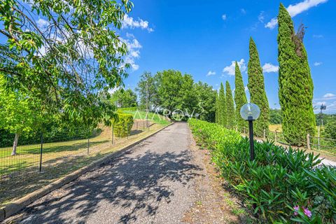 Villa i Orte, Viterbo, Orte - € 2.500.000 | Ref: 5841 - foto 4