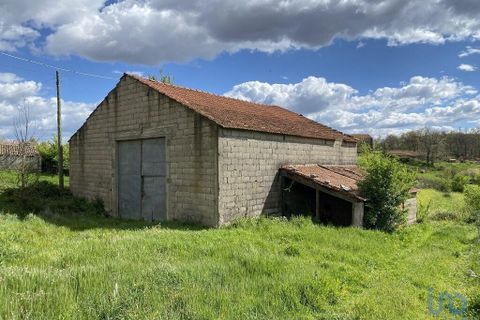 Byhus i Mogadouro, Braganca, Mogadouro - € 42.000 | Ref: 75730 - foto 6
