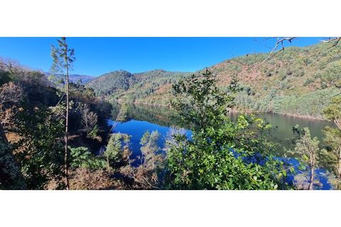 Villa i Porto, Porto, Porto - € 2.200.000 | Ref: 23-IVG-0103 - foto 6
