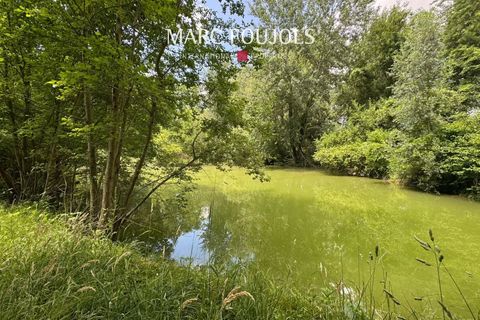 Villa a Chambly, Oise, Chambly - € 795.000 | Ref: C9625 - foto 8