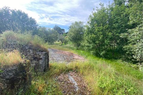 Villa a Ranhados, Viseu, Ranhados - € 600.000 | Ref: SF-SAFTI:006878 - foto 3
