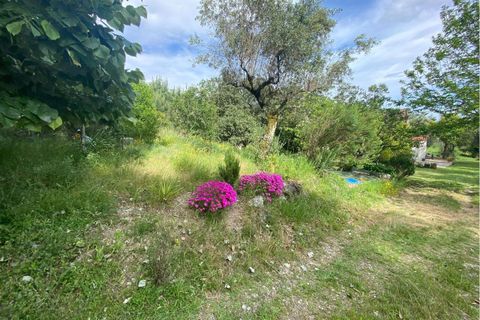 Villa a Ranhados, Viseu, Ranhados - € 600.000 | Ref: SF-SAFTI:006878 - foto 5
