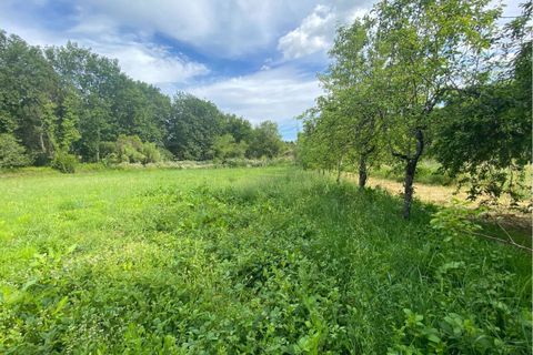 Villa a Ranhados, Viseu, Ranhados - € 600.000 | Ref: SF-SAFTI:006878 - foto 7