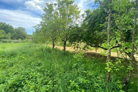 Villa a Ranhados, Viseu, Ranhados - € 600.000 | Ref: SF-SAFTI:006878 - foto 10