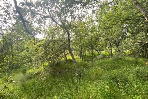 Villa a Ranhados, Viseu, Ranhados - € 600.000 | Ref: SF-SAFTI:006878 - foto 11