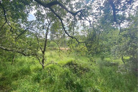 Villa a Ranhados, Viseu, Ranhados - € 600.000 | Ref: SF-SAFTI:006878 - foto 14