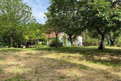 Villa a Ranhados, Viseu, Ranhados - € 600.000 | Ref: SF-SAFTI:006878 - foto 16