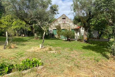 Villa a Ranhados, Viseu, Ranhados - € 600.000 | Ref: SF-SAFTI:006878 - foto 17