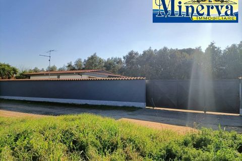 Villa a Nettuno, Rome, Nettuno - € 189.000 | Ref: V.386 - foto 14