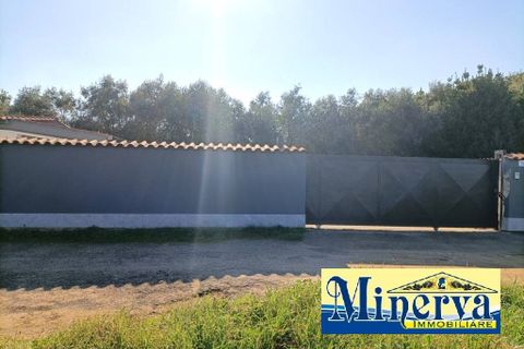 Villa a Nettuno, Rome, Nettuno - € 189.000 | Ref: V.386 - foto 15