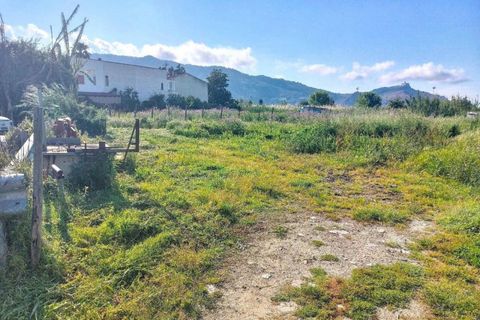Terra a Falcone, Messina, Falcone - € 294.021 | Ref: 2519021 - foto 3