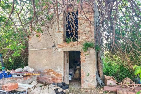 Terra a Falcone, Messina, Falcone - € 294.021 | Ref: 2519021 - foto 8