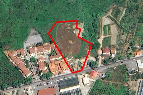 Terra a Falcone, Messina, Falcone - € 294.021 | Ref: 2519021 - foto 11