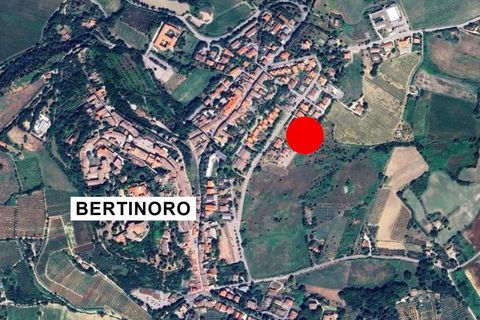 Terra a Bertinoro, Forli-Cesena, Bertinoro - € 67.500 | Ref: 2536342 - foto 16