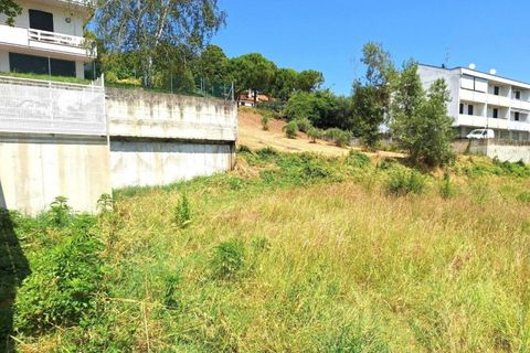 Terra a Bertinoro, Forli-Cesena, Bertinoro - € 67.500 | Ref: 2536342 - foto 4