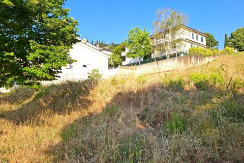 Terra a Bertinoro, Forli-Cesena, Bertinoro - € 67.500 | Ref: 2536342 - foto 5