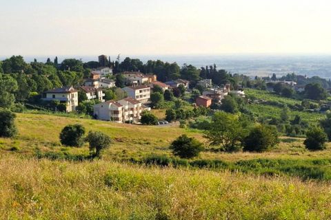 Terra a Bertinoro, Forli-Cesena, Bertinoro - € 60.000 | Ref: 2536345 - foto 2
