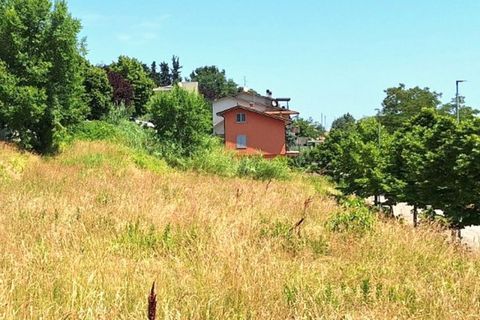 Terra a Bertinoro, Forli-Cesena, Bertinoro - € 60.000 | Ref: 2536345 - foto 4