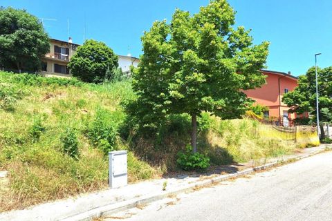 Terra a Bertinoro, Forli-Cesena, Bertinoro - € 60.000 | Ref: 2536345 - foto 5