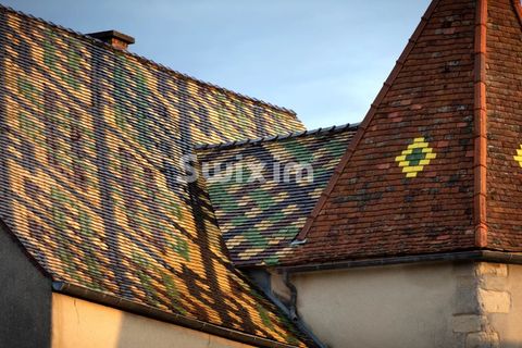 Landejendom i Dijon, Cote-d'Or, Dijon - € 1.365.000 | Ref: 69810 PP - foto 32