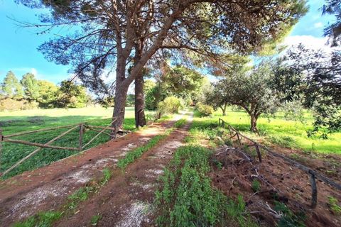 Villa i Valderice, Trapani, Valderice - € 233.508 | Ref: 24973 - foto 11